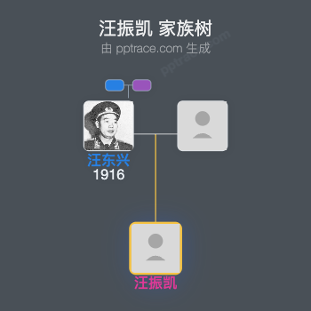 汪振凯 家族树全览