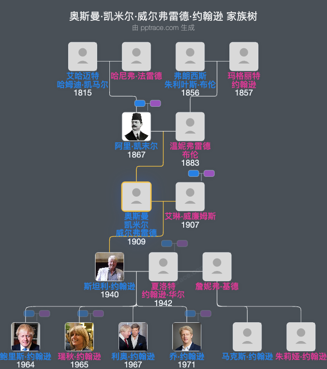 奥斯曼·凯米尔·威尔弗雷德·约翰逊家族树全览