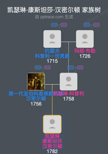 凯瑟琳·康斯坦莎·汉密尔顿家族树全览