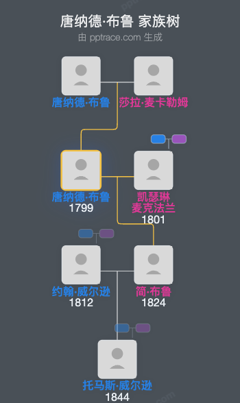 唐纳德·布鲁家族树全览