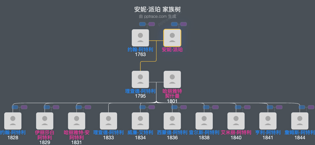 安妮·派珀家族树全览