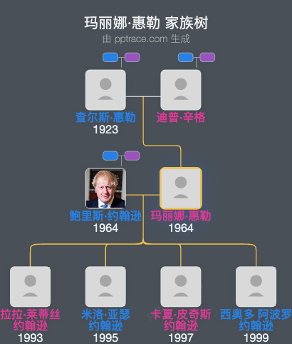 玛丽娜·惠勒家族树全览