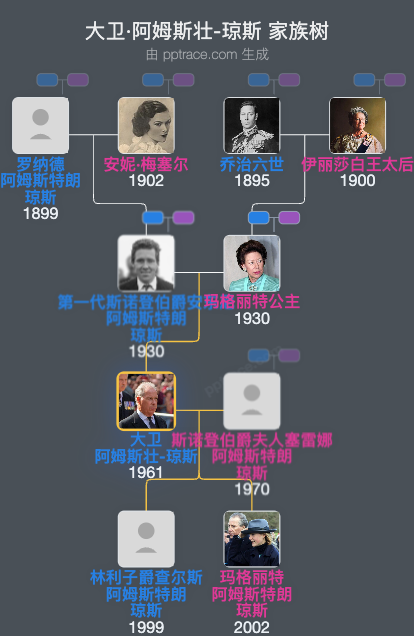 大卫·阿姆斯壮-琼斯家族树全览