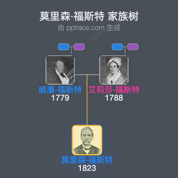 莫里森·福斯特家族树全览