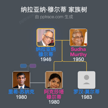 纳拉亚纳·穆尔蒂家族树全览