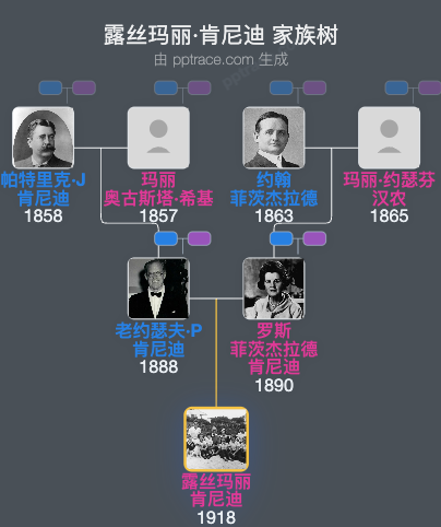 露丝玛丽·肯尼迪家族树全览