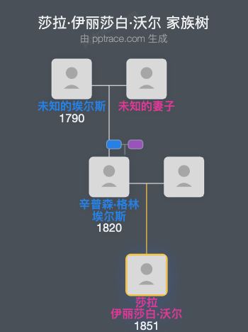 莎拉·伊丽莎白·沃尔家族树全览