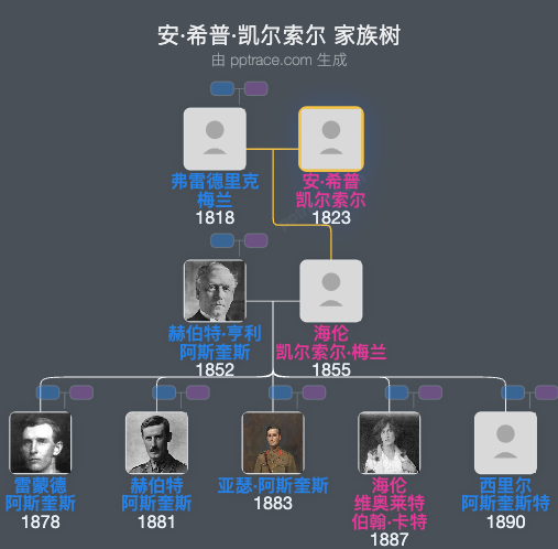 安·希普·凯尔索尔家族树全览