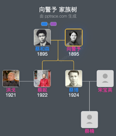 向警予 家族树全览