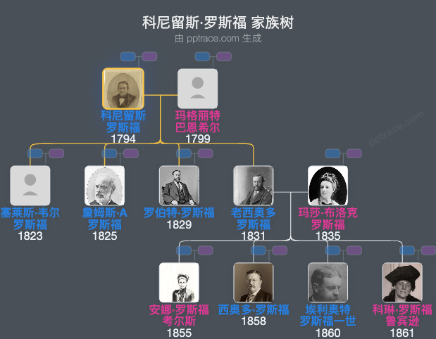 科尼留斯·罗斯福家族树全览
