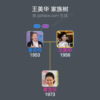 王美华 家族树全览