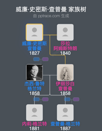 威廉·史密斯·查普曼家族树全览