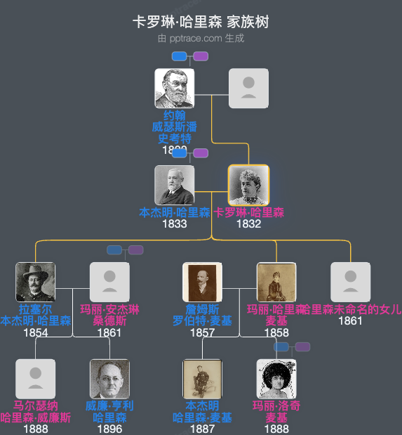 卡罗琳·哈里森家族树全览