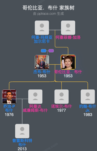 哥伦比亚．布什家族树全览