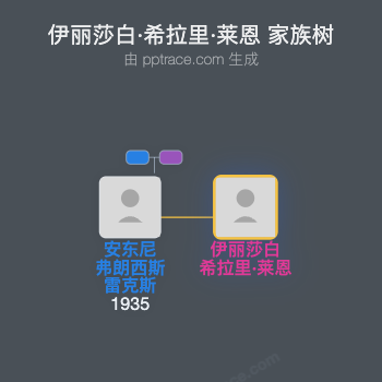 伊丽莎白·希拉里·莱恩家族树全览