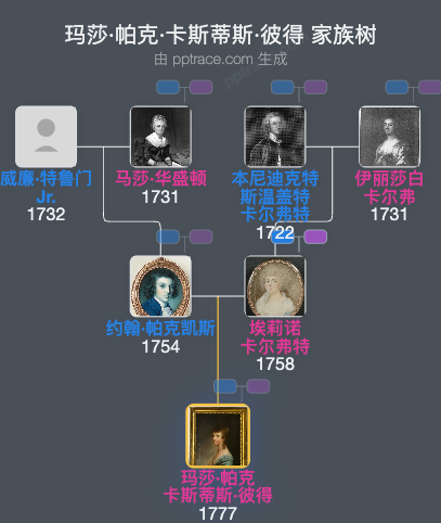 玛莎·帕克·卡斯蒂斯·彼得家族树全览