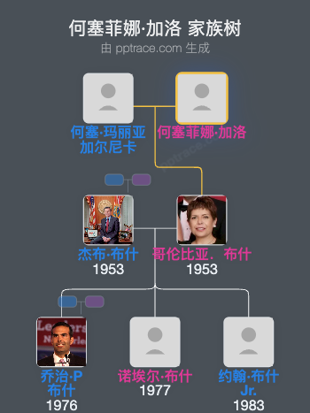 何塞菲娜·加洛家族树全览