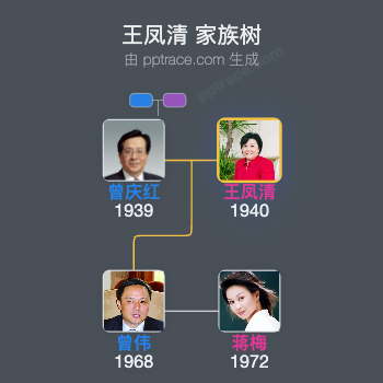 王凤清 家族树全览