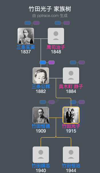 竹田光子家族树全览