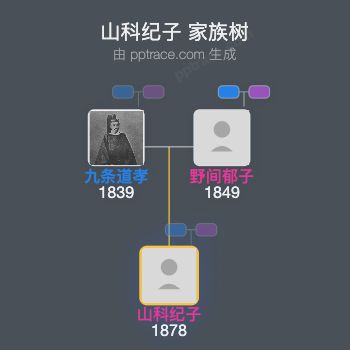 山科纪子家族树全览