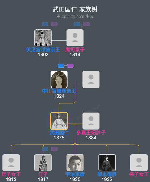 武田国仁家族树全览