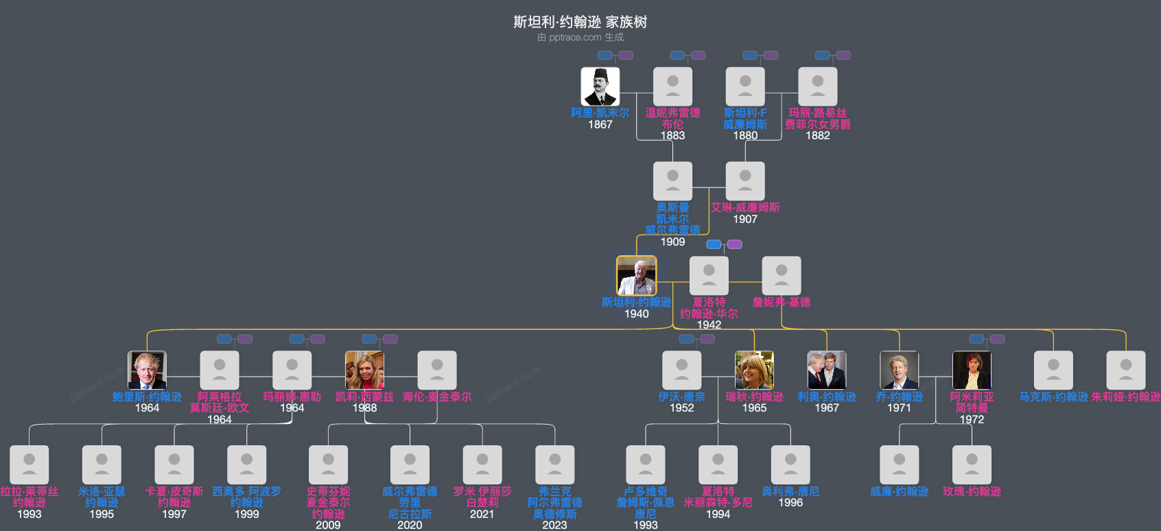 斯坦利·约翰逊家族树全览