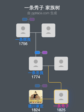 一条秀子家族树全览