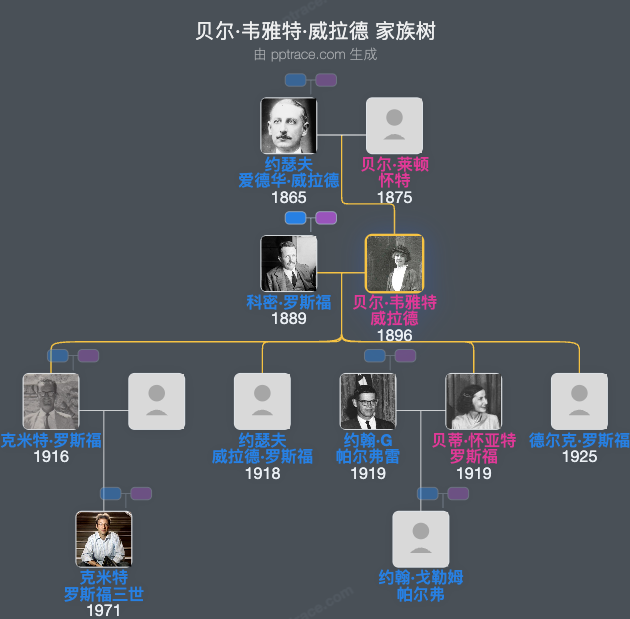 贝尔·韦雅特·威拉德家族树全览