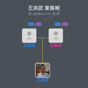 王洪武 家族树全览