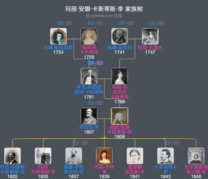 玛丽·安娜·卡斯蒂斯·李家族树全览