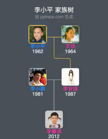 李小平家族树全览
