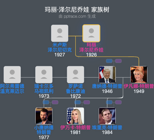 玛丽·泽尔尼乔娃家族树全览