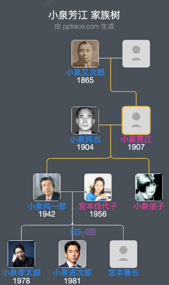 小泉芳江 家族树全览