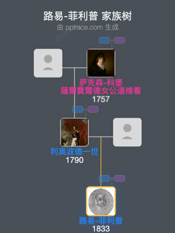 路易-菲利普，比利时王储家族树全览