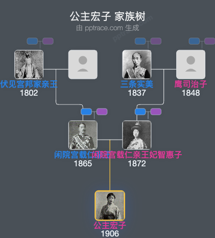 公主宏子家族树全览