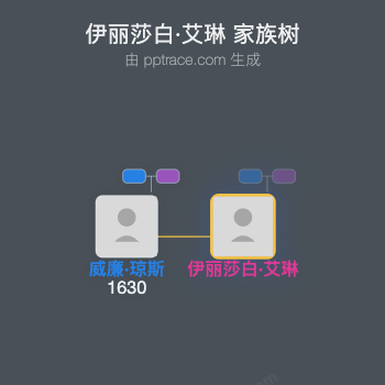 伊丽莎白·艾琳家族树全览