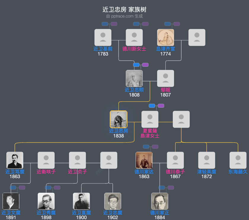 近卫忠房家族树全览