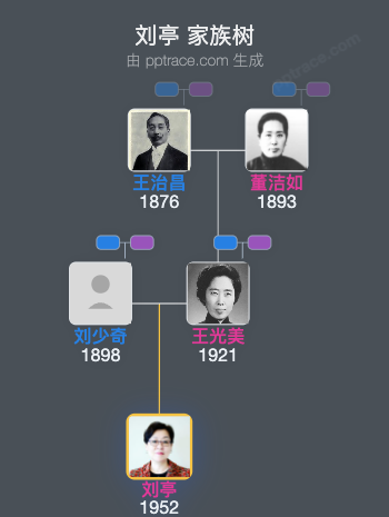 刘亭 家族树全览
