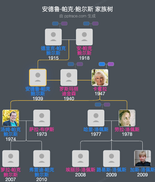 安德鲁·帕克·鲍尔斯家族树全览