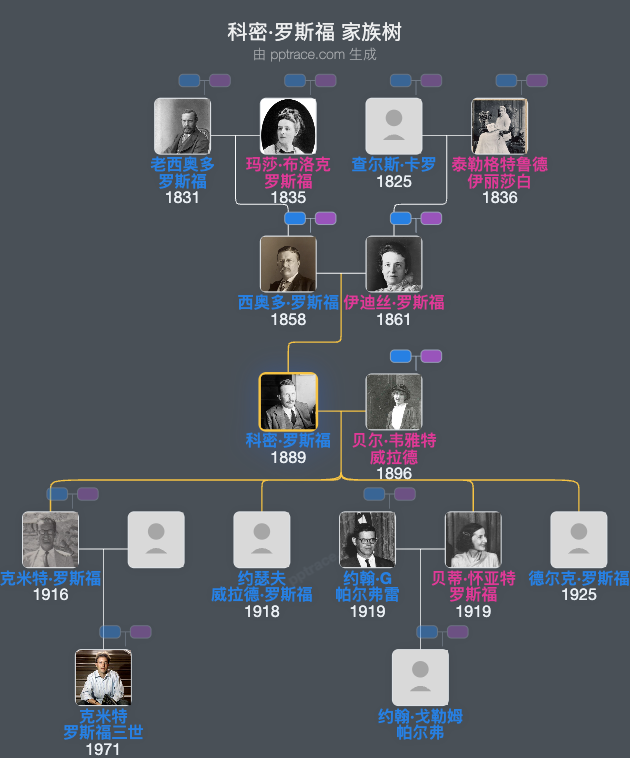 科密·罗斯福家族树全览