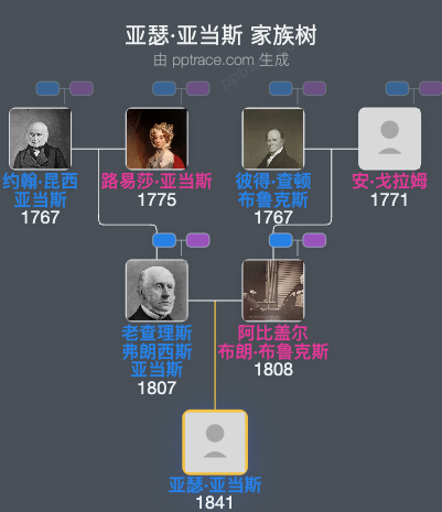 亚瑟·亚当斯家族树全览