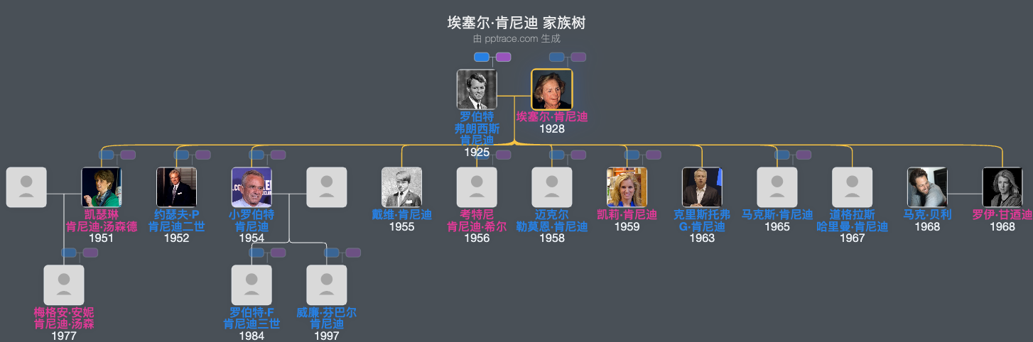 埃塞尔·肯尼迪家族树全览