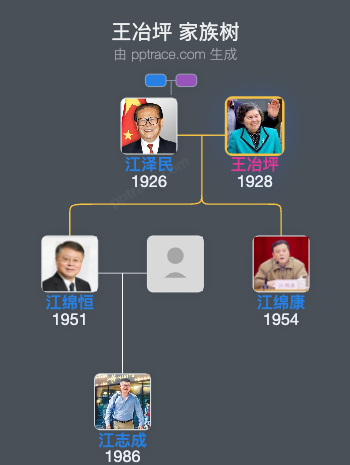 王冶坪 家族树全览