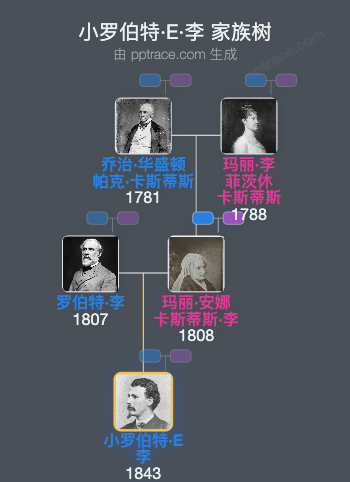 小罗伯特·E·李家族树全览