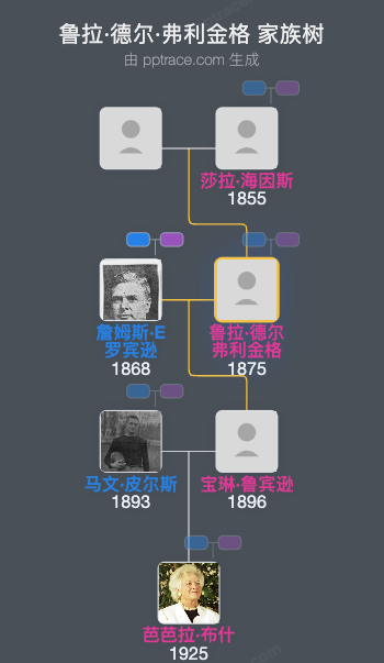 鲁拉·德尔·弗利金格家族树全览