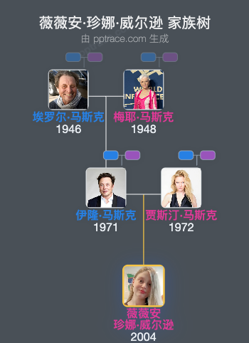 薇薇安·珍娜·威尔逊 家族树全览