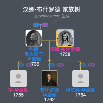 汉娜·布什罗德家族树全览