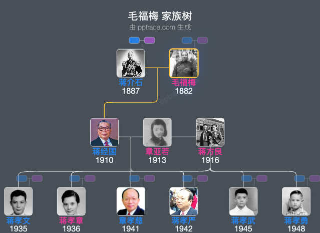毛福梅 家族树全览