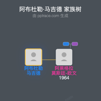 阿布杜勒·马吉德家族树全览