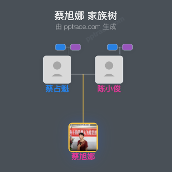 蔡旭娜家族树全览